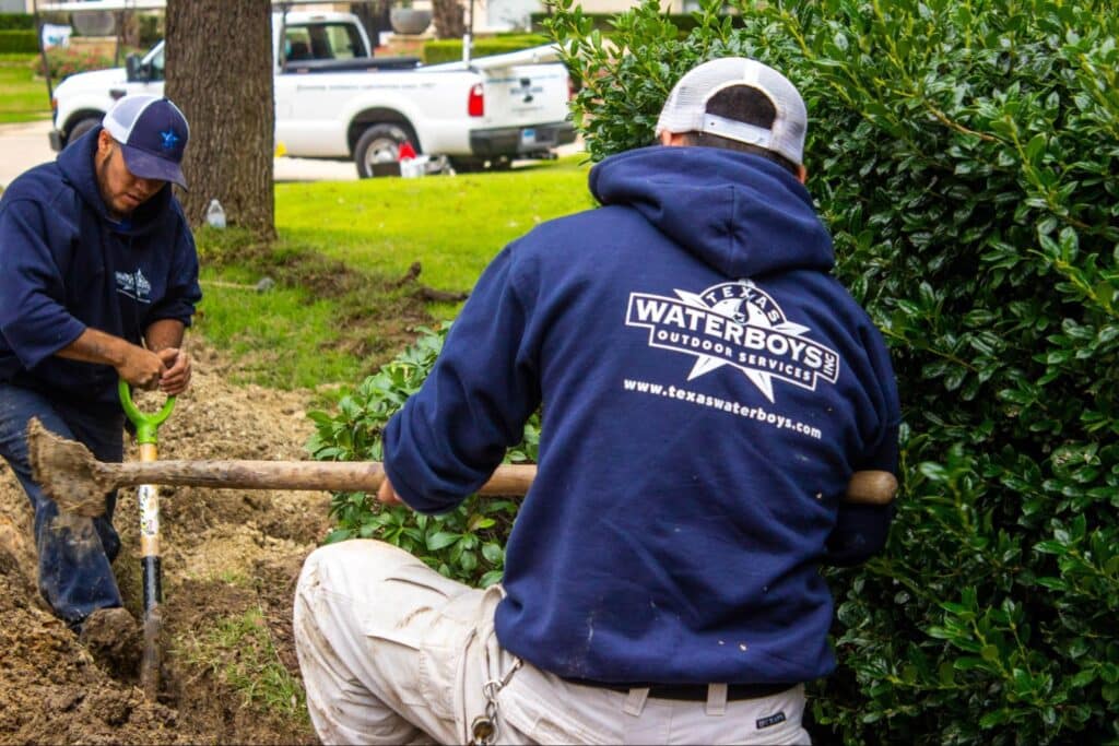 Professional Drainage Solutions & Sump Pump Services in Heath, TX