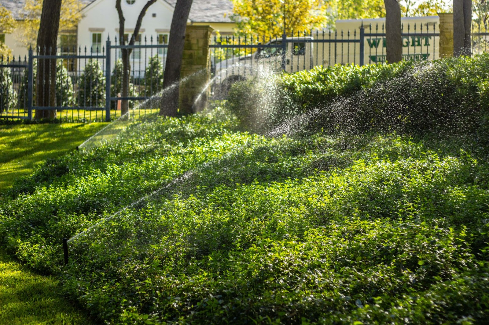 Professional Irrigation and Drainage Services in Denison, TX