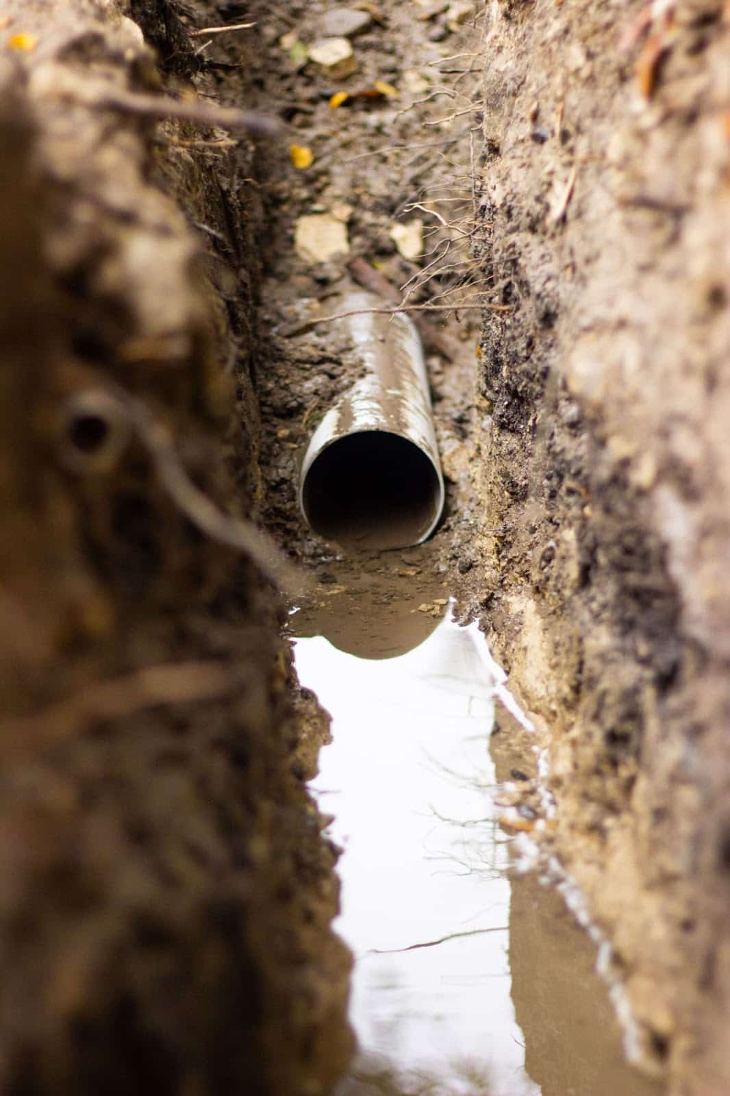 Professional Drainage Solutions & Sump Pump Services in Pottsboro, TX