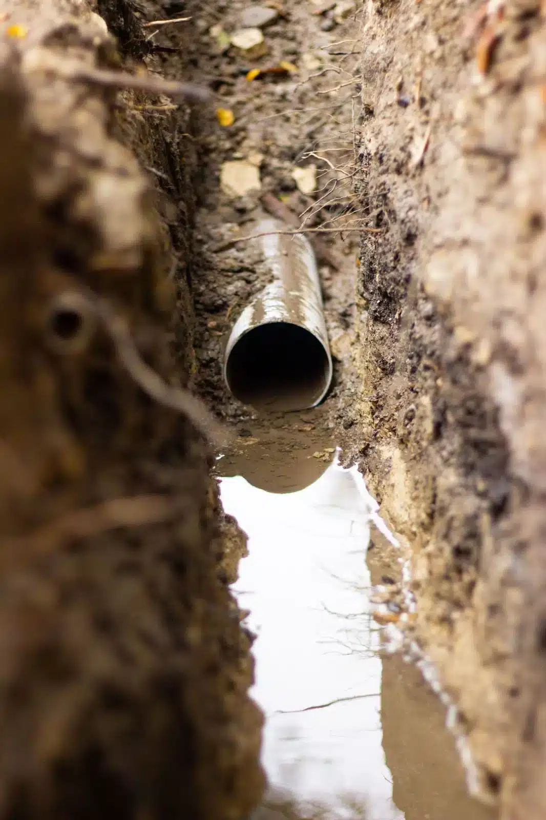 Professional Drainage Solutions & Sump Pump Services in Royse City, TX