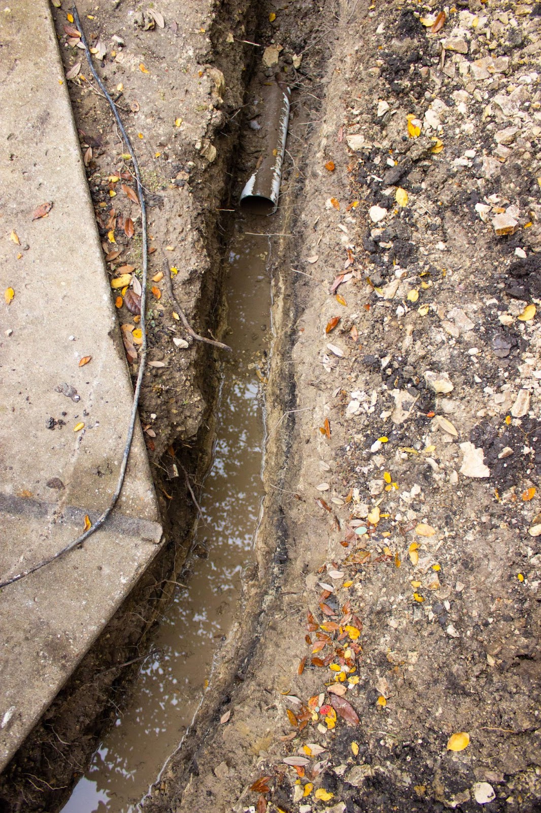 Professional Drainage Solutions & Sump Pump Services in Tom Bean, TX