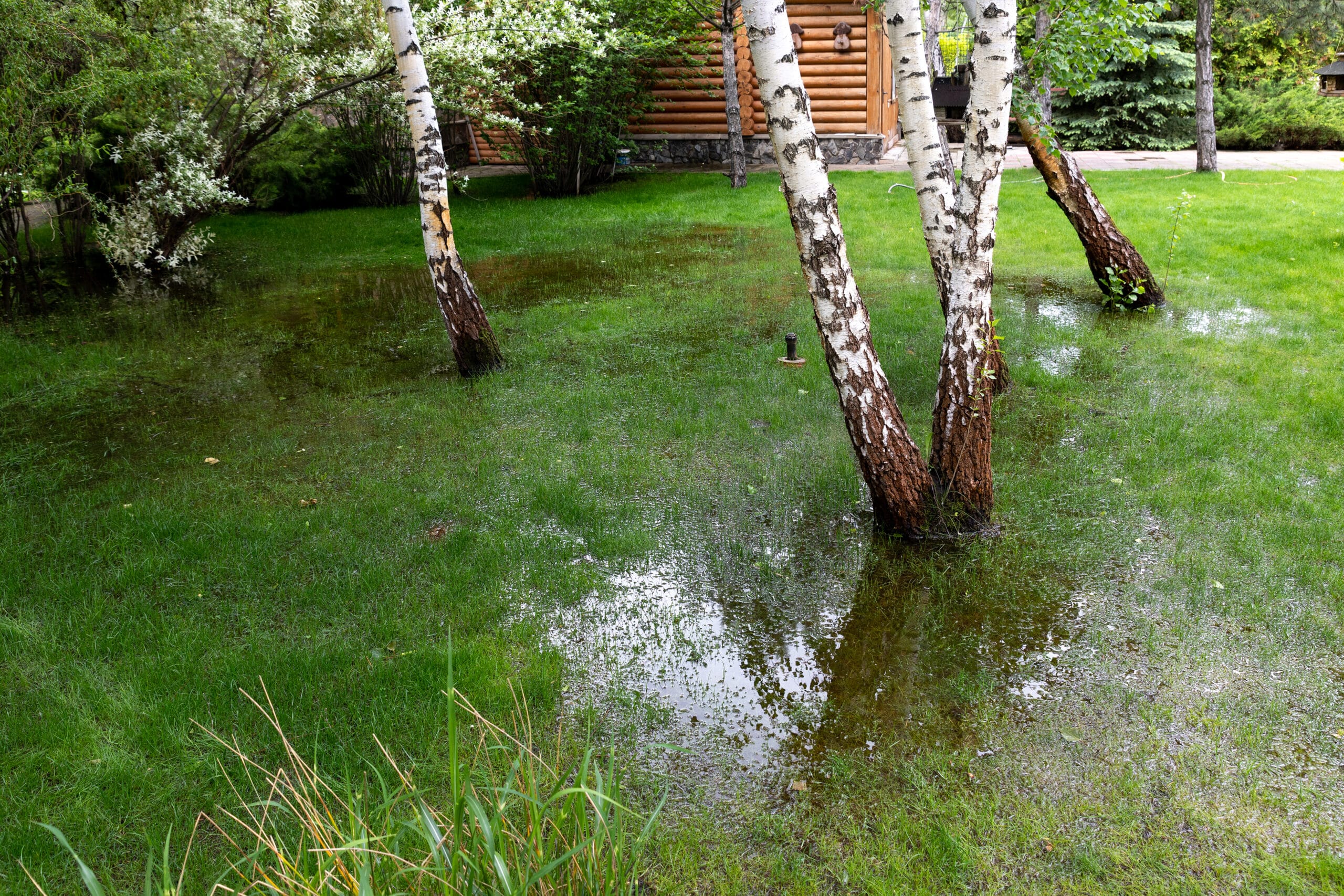 Why Your Yard Still Floods After Rain—and How Professional Drainage Fixes the Problem